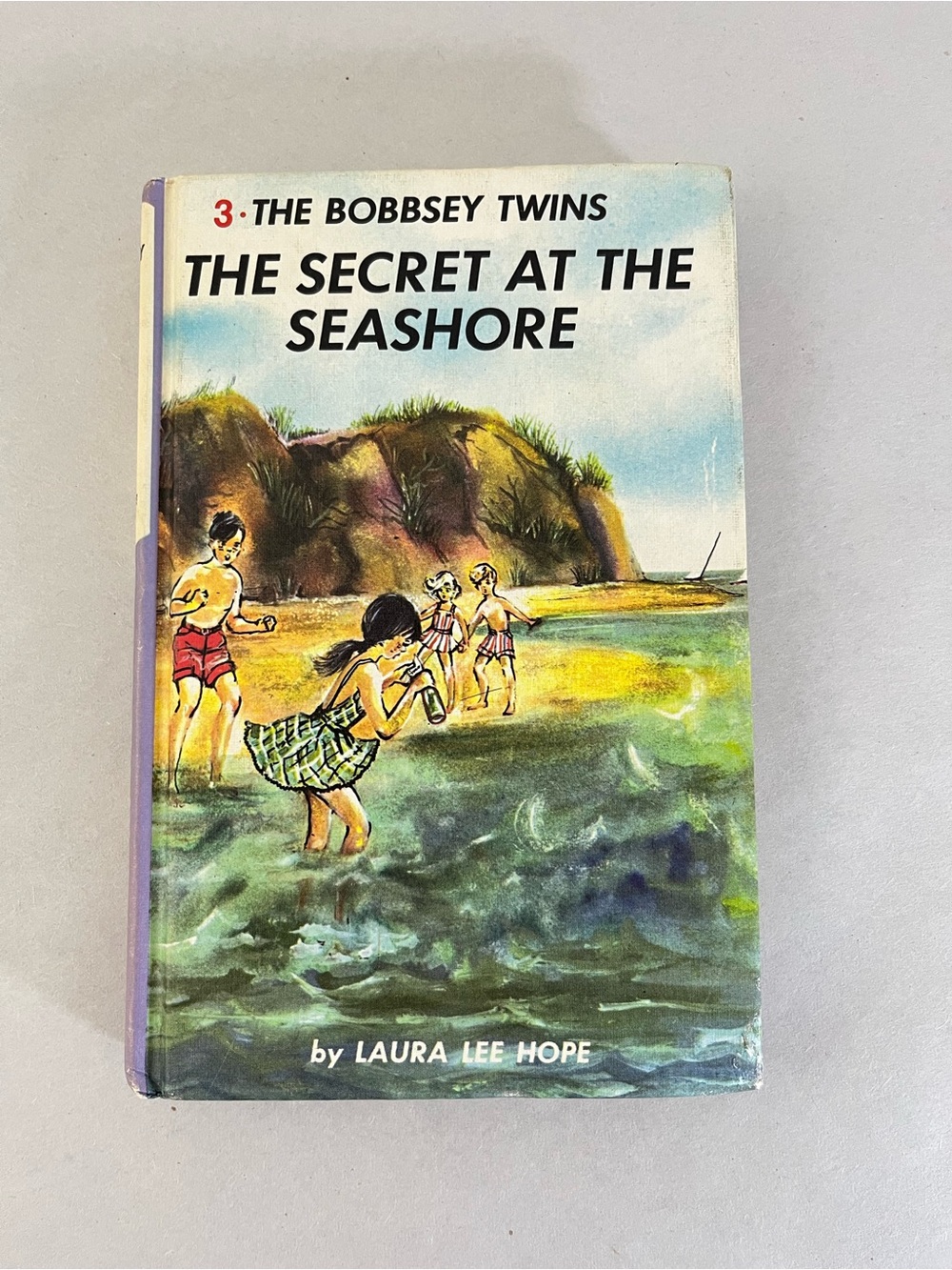 Vintage 1962 The Bobbsey Twins: The Secret at the Seashore